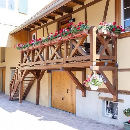 Dom wakacyjny Les Gites De L'orchidee Du Ried